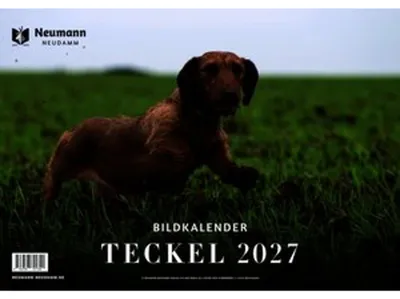 Image de Teckel 2027 - Calendrier thématique