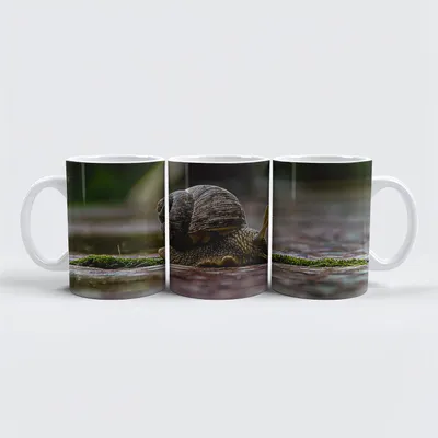 Produktbild von raxxa Premium-Tasse "Schnecke"