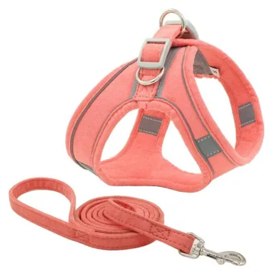 Productafbeelding van Reflecterend Hondentuig voor Honden en Katten, Rood XS
