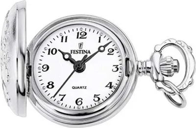 Obrázek produktu pro Festina hodinky F2032/1