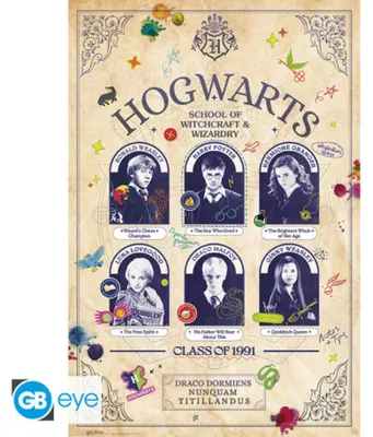 Productafbeelding van HARRY POTTER - Poster, formaat maxi 91,5 x 61 cm,Mix-certificering - Jaarboek voor studenten