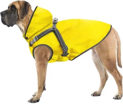 Produktbild von Famanu Hunde-Regenjacke wasserdicht mit Kapuze und Reflektoren - Verstellbar für kleine, mittelgroße und große Hunde