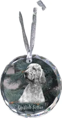 Obrázok produktu pre Art-Dog Vianočná ozdoba – Anglický seter