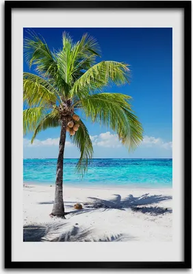Produktbild von Bild - Bilderrahmen - 50 cm x 70 cm - MDF - Rahmen - Wandkunst Tropischer Strand