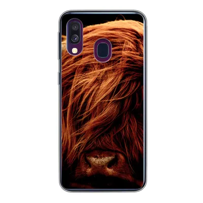 Produktbild von MuchoWow® Handyhülle Schutzhülle Hülle für Samsung Galaxy A40 Schottischer Highlander - Kuh - Hörner - Porträt - Tiere Silikon Softcase Handy Hülle - Handy-Tasche