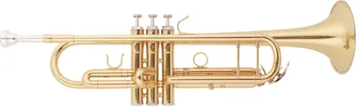 Image de Bacio Instruments BTR-150