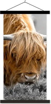 Produktbild von MuchoWow® Textilposter Scottish Hochlandrind - Pflanzen - Schwarz - Weiß 60x120 cm mit schwarzem Rahmen - Magnete
