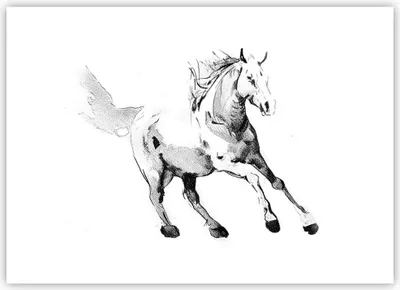 Produktbild von Poster - Poster ohne Rahmen - Pferd Galopp Tier - 70x50 cm - Wand Bild - Wanddeko - Wandbilder - Kunstposter - Wandposter - Bilder - Kunstdruck - Wanddekoration - Wandbild - P2XAA70x50-5117