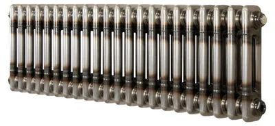 Productafbeelding van Klassieke radiator met twee kolommen – 300 x 1010 mm - Ruw metaal