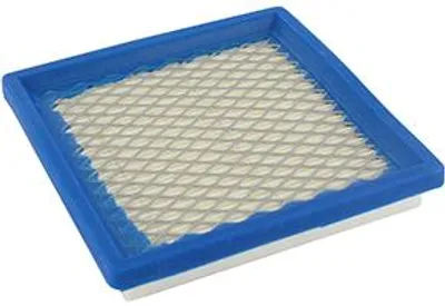 Image de Filtre à air adaptable pour Briggs & Stratton : série 100700 (3,5 CV Quantum). Remplace les pièces d'origine : 399877, 004103.