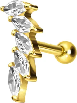 Produktbild von Ohrpiercing Titan Ohrpiercing mit Innengewinde 5 EINGEFASSTE KRISTALLTROPFEN Gold Stablänge: 8mm