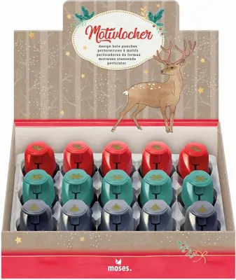 Produktbild von moses Verlag Motivlocher Winterwunder Sonstige