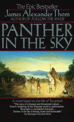 Produktbild von Panther im Himmel