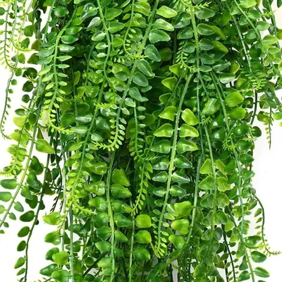 Produktbild von Griny Künstliche Farnranke Hängende Girlande Grün 78cm