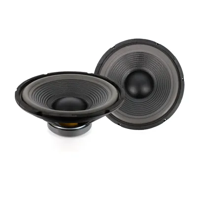 Obrázok produktu pre Reproduktor - HSP 005 - 12" / 300 mm - 150 / 300 W 8 ohm