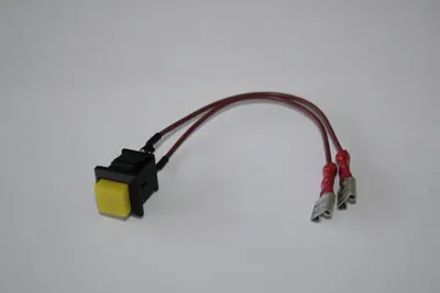 Produktbild von ELMAG Test-Druckknopf inkl. Kabel für Ladezustand