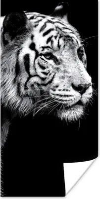 Produktbild von MuchoWow® Poster Tierprofil Tiger in schwarz und weiß 60x120 cm - Wandschmuck