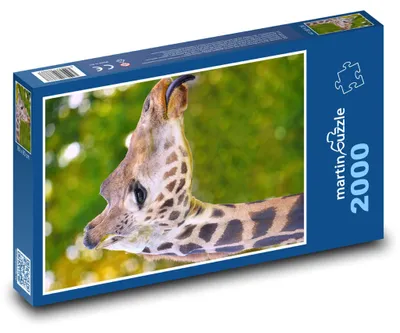 Zdjęcie produktu dla Puzzle 2000 Żyrafa na wolności - martinpuzzle