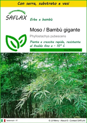 Immagine prodotto di SAFLAX Insieme di coltivazione - Moso / Bambù gigante - 20 semi - Phyllostachys