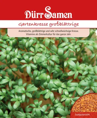 Produktbild von Gartenkresse großblättrig 250 g | Gartenkressesamen von Dürr Samen