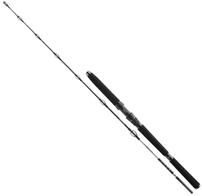 Produktbild von DAIWA BG Deep Sea XH, 1,75m, 5,74ft, 100-300g, 2 Teile, Bootsrute, 11928-175