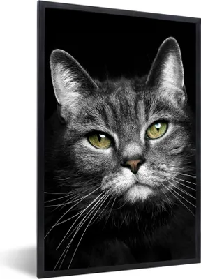 Produktbild von MuchoWow® Gerahmtes Poster Haustiere - Katze - Tiere - Schwarz - Weiß 60x90 cm - Poster mit Schwarzem Bilderrahmen Wandposter Rahmen Foto Bilder - Kunst