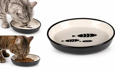 Productafbeelding van Kattenbak - antislip multifunctionele bak voor huisdieren - 150 ml - keramisch - vaatwasmachinebestendig
