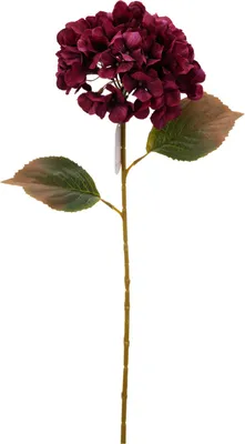 Produktbild von Künstliche Hortensie als Dekorationsblume, 76 cm – bordeauxrot, H&L