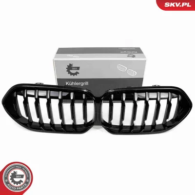 Produktbild von ESEN SKV 66SKV037 Kühlergrill Frontgrill für BMW 2 Gran Coupe (F44) Mitte Schwarz Glänzend