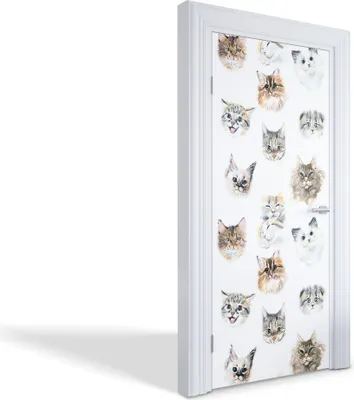 Produktbild von Türaufkleber Innentüren Selbstklebende Kreativ Wandsticker - Katzenporträts - 95 x 205 cm