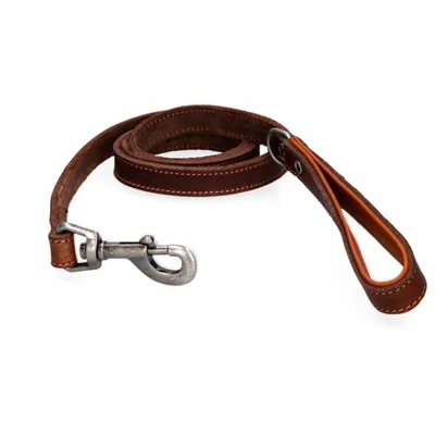 Produktbild von Spotted! Pro Leder Hundeleine Braun 1,8x130cm