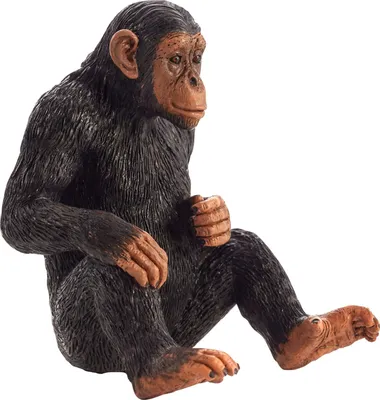 Obrázok produktu pre Mojo Fun Chimpanzee, 3 rok / roky, Wildlife, Čierna, Hnedá, Polyvinylchlorid (PVC)