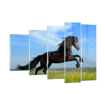 Produktbild von Bilder auf glas - Schwarzes Pferd Pferd Galopp - 150x100cm - Glasbilder - Wandbilder - Kunstdruck - zum Aufhängen bereit - Wanddekoration aus Glas - Glas Bilder - Wandbild auf Glas - GEG150x100-0495