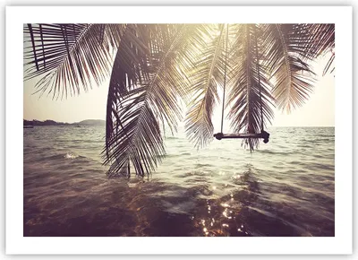 Produktbild von Poster - Poster ohne Rahmen - Meer Palme Wasser - 70x50 cm - Wand Bild - Wanddeko - Wandbilder - Kunstposter - Wandposter - Bilder - Kunstdruck - Wanddekoration - Wandbild - P2XAA70x50-3634