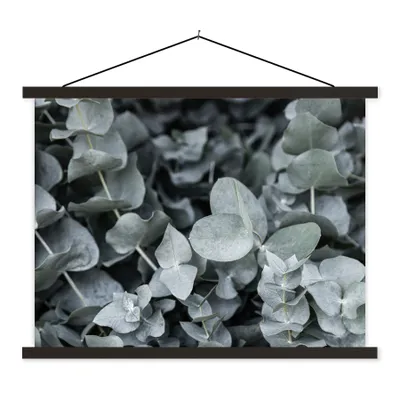 Produktbild von MuchoWow® Textilposter Natur - Pflanzen - Eukalyptus - Blätter 60x45 cm mit schwarzem Rahmen - Poster Schlafzimmer