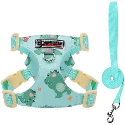 Image de Harnais Chien Réglable Léger Respirant avec Laisse, Anneau et Logo Réfléchissant - Motif Dinosaure Turquoise XS