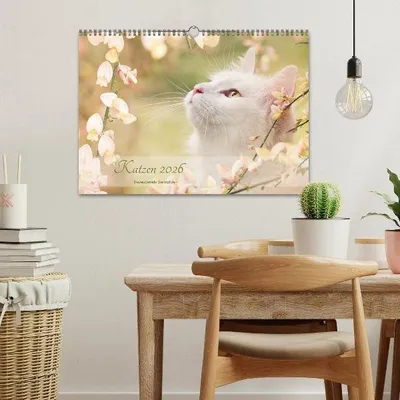 Produktbild von Katzen 2026 Bezaubernde Samtpfoten (Wandkalender 2026 DIN A3 quer), CALVENDO Monatskalender