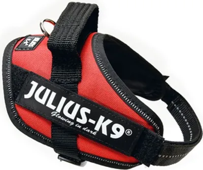 Produktbild von Julius K9 - Hundegeschirr - rot - Mini - 49-67 cm