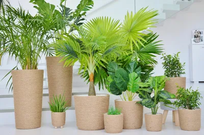 Produktbild von Kerd EkoNatural 35 Jute-Übertopf natürlicher Boho-Stil