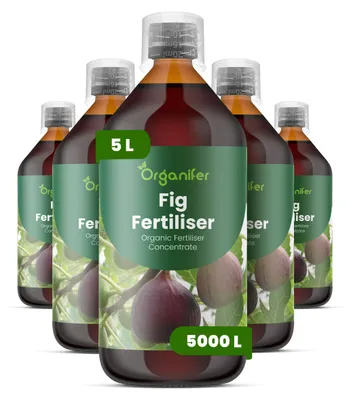 Obrázok produktu pre Fig Tekuté hnojivo 5 x 1 L – 2-1-8 (NPK) – Pre figy a ovocné rastliny – Podporuje silný rast, zdravé listy a kvalitu plodov – Organický produkt