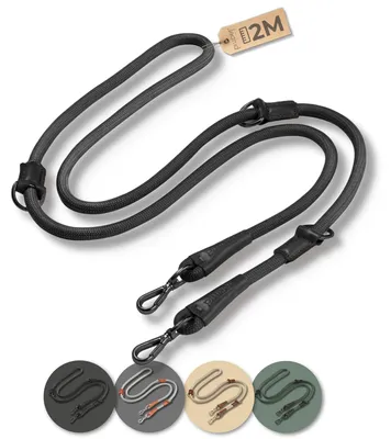 Image de Laisse pour chiens, grande et petite taille, 2 mètres