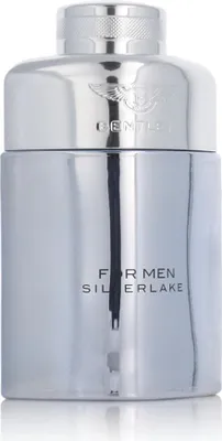 Obrázek produktu pro Bentley For Men Silverlake EDP 100 ml M