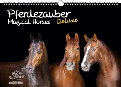 Produktbild von Pferdezauber DELUXE DIN A3 Immerwährender Kalender Pferde - Seelenzauber