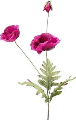 Produktbild von Kunstblumen Deko Mohnblume mit Blüten und Knospe