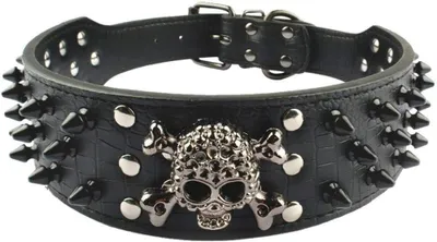 Produktbild von Hundehalsband 5 cm, Größe L, Leder, für mittelgroße Hunde