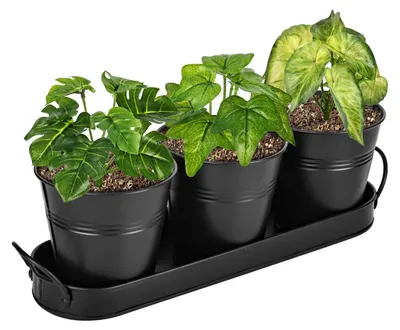 Image de Ensemble de 3 pots de fleurs en métal avec bac de drainage