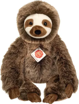 A plush toy sloth is shown against a white background.