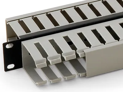 Obrázok produktu pre Triton 19" vyväz. panel 1U obojstranná plast. lišta BK