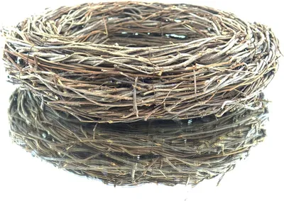 Produktbild von nature trends Kranz aus Magnolienreisig Braun Ø 45 cm