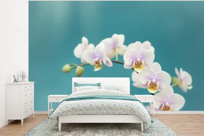 Produktbild von MuchoWow® Fototapete für Wohnzimmer oder Schlafzimmer Wandtapete Vinyl Motivtapete Orchidee - Blumen - Pflanze - Weiß - Lila - 375x280 cm - Schlafzimmer tapete